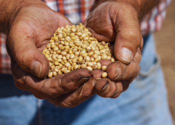 America’s quietest crop is set to take center stage in Trump–Xi talks