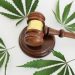 Hemp THC Recriminalization: A Blow to a Blooming Industry