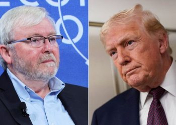 Foreign ambassador to leave US post after Trump criticism