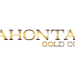 Lahontan Gold Eyes Resource Update as Production Nears