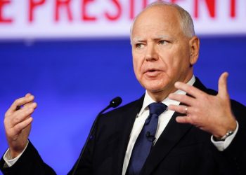 Minnesota GOP lawmaker urges Congress to press Walz at fraud hearing: ‘Real issues to deal with’